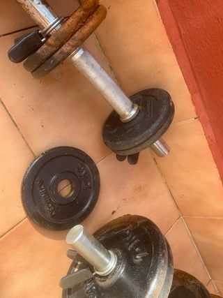 Mancuernas de gimnasio