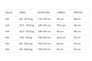 Chándal Real Madrid Adidas Gris/Verde