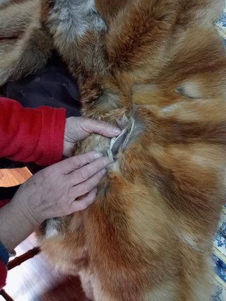 Abrigo roto en costuras piel de zorro