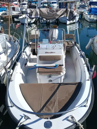 Barco Boston Whaler 15 Dauntless