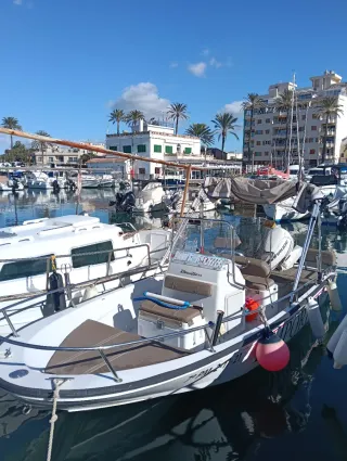 Barco Boston Whaler 15 Dauntless