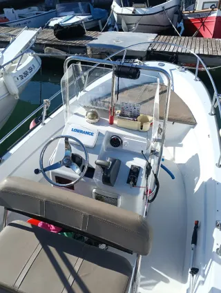 Barco Boston Whaler 15 Dauntless