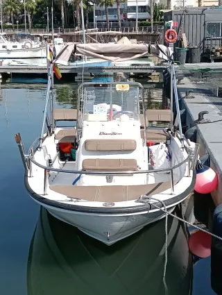 Barco Boston Whaler 15 Dauntless