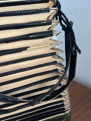 Acordeón - New Style ESCUCHO OFERTAS