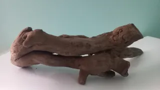 Madera para decorar acuario