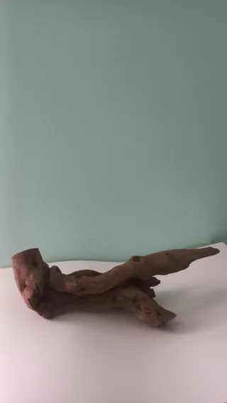 Madera para decorar acuario