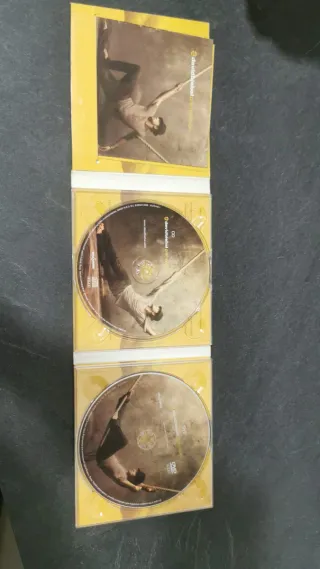 CD David Bisbal Premonición