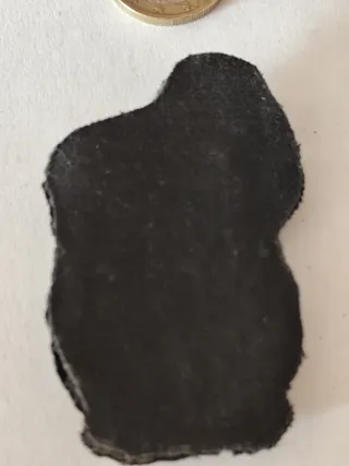 Insignia Gorra Ejército Inglés León Corona