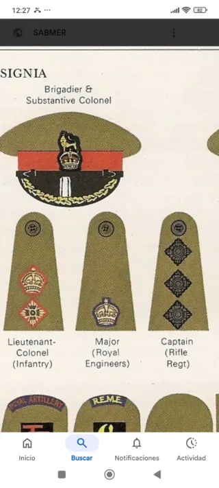 Insignia Gorra Ejército Inglés León Corona