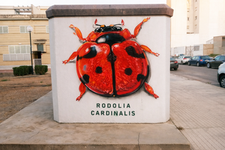 GRAFITERO ARTISTA MURALISTA PINTURA DECORACIÓN LED