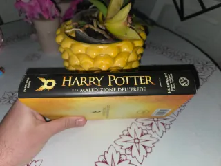 Harry Potter e la maledizione dell'erede