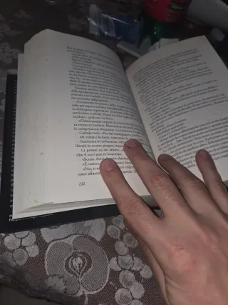 Breaking Dawn romanzo