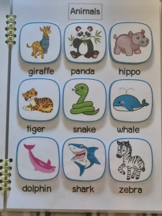 Libro infantil inglés Let's study!
