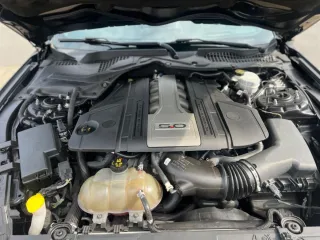 Ford Mustang GT Shelby