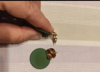 Pendientes dorados y verdes circulares