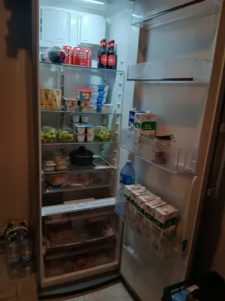 Nevera Electrolux sin congelador