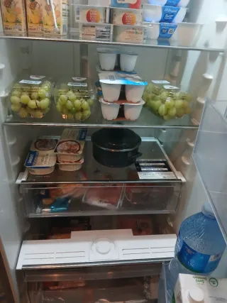 Nevera Electrolux sin congelador