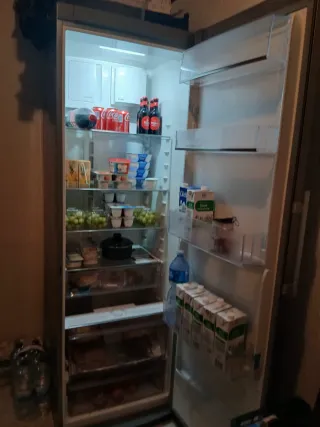 Nevera Electrolux sin congelador