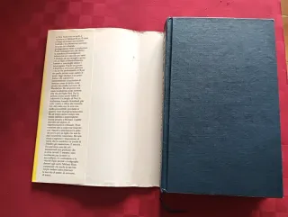 Libro. Ragionevole dubbio.