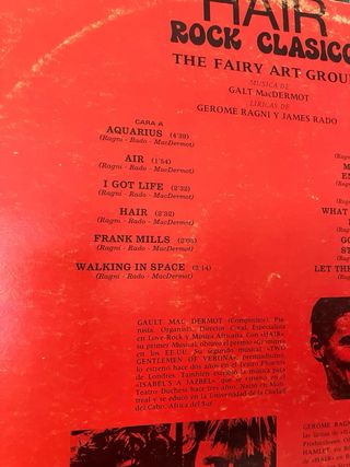 Vinilo Hair Rock Clásico