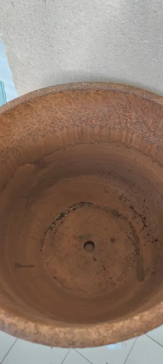 Maceta de terracota con plato