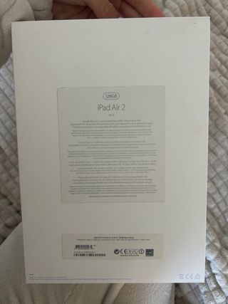 iPad Air 2 Space Gray