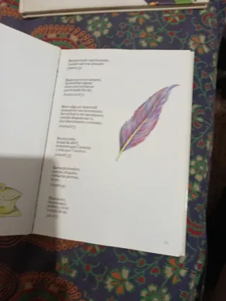 El libro de las adivinanzas