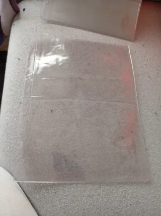 Hoja para álbum grande