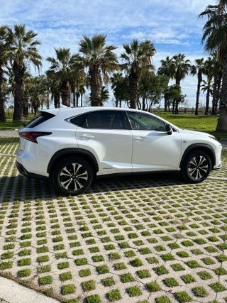 Lexus NX 300h F-Sport Techo Panorámico