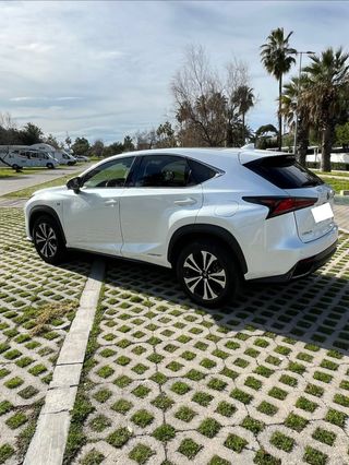 Lexus NX 300h F-Sport Techo Panorámico