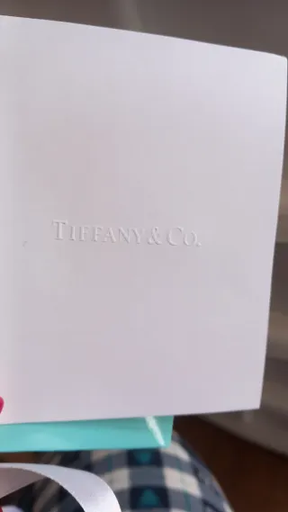 Collana Tiffany & Co. Doppio Cuore Argento/Turches