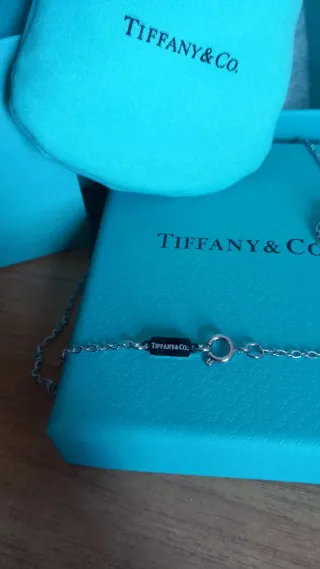 Collana Tiffany & Co. Doppio Cuore Argento/Turches