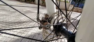 Bicicleta Montaña Mercier MR 24v