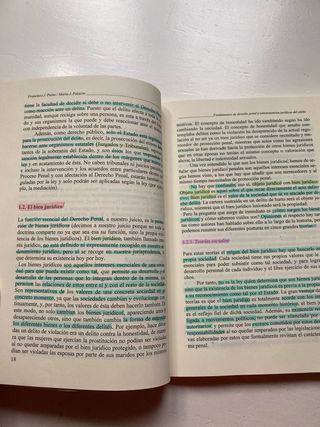 Fundamentos de derecho penal y consecuencias ju...