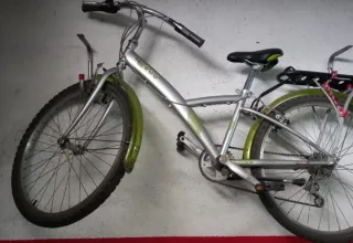 Bicicleta de montaña plateada