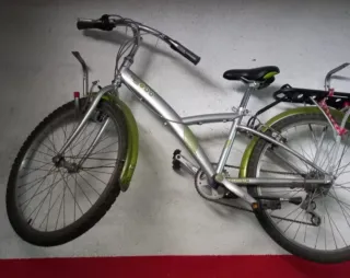 Bicicleta de montaña plateada