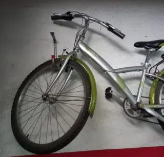 Bicicleta de montaña plateada