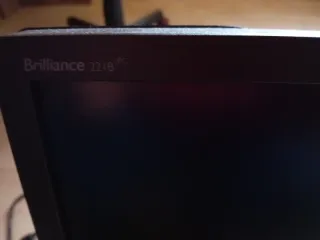 Monitor LED Philips Negro