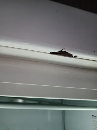 Congelador Vitrina expositora