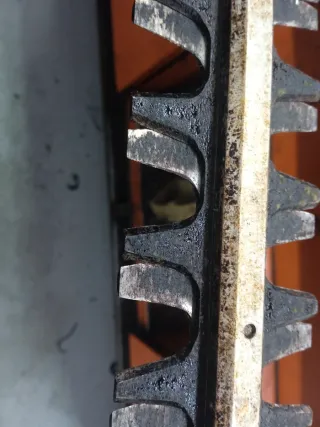 Cortasetos altura Stihl HLA 85