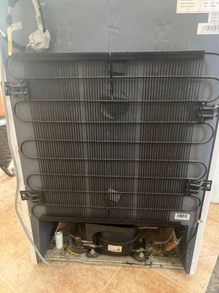 Frigorífico Candy 85cm Alto x 54cm Ancho