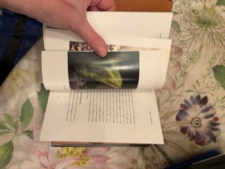 Benigni Tuttodante dvd canto quinto