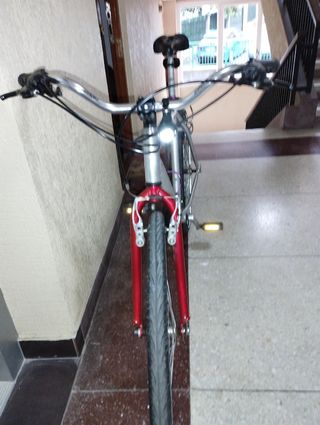 Bicicleta Urbana Plata