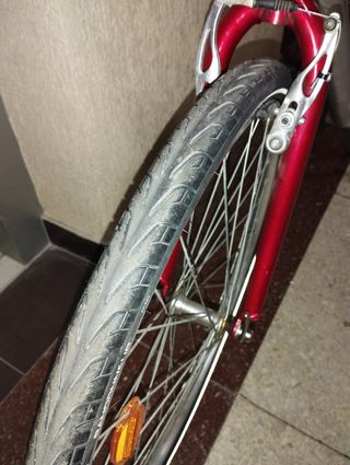 Bicicleta Urbana Plata