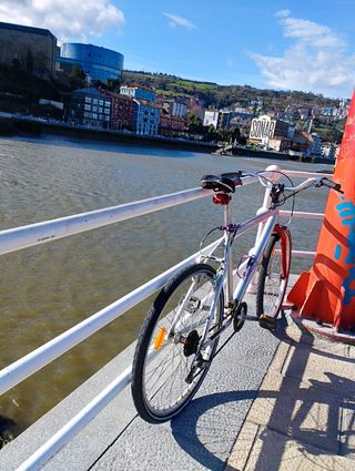 Bicicleta Urbana Plata