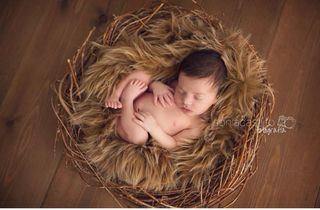 Nido Fotografía Newborn