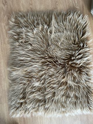 Nido Fotografía Newborn