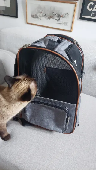 Mochila transportín perro/gato