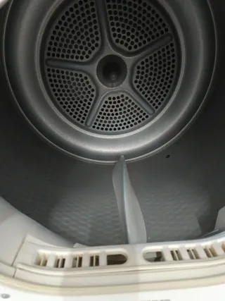 Secadora Bosch Carga 7kg