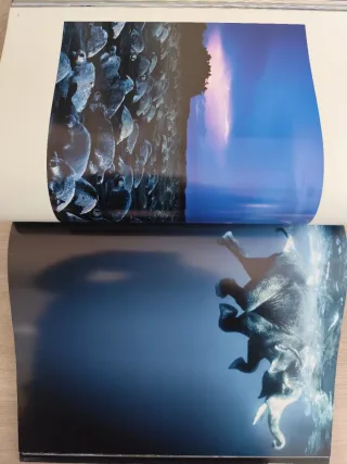 Agua (Spanish and English Edition)